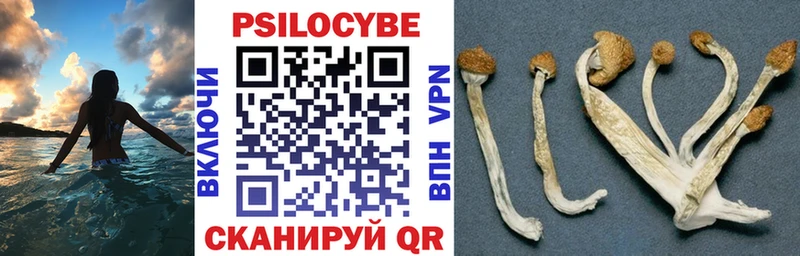 Псилоцибиновые грибы мухоморы  Хабаровск 
