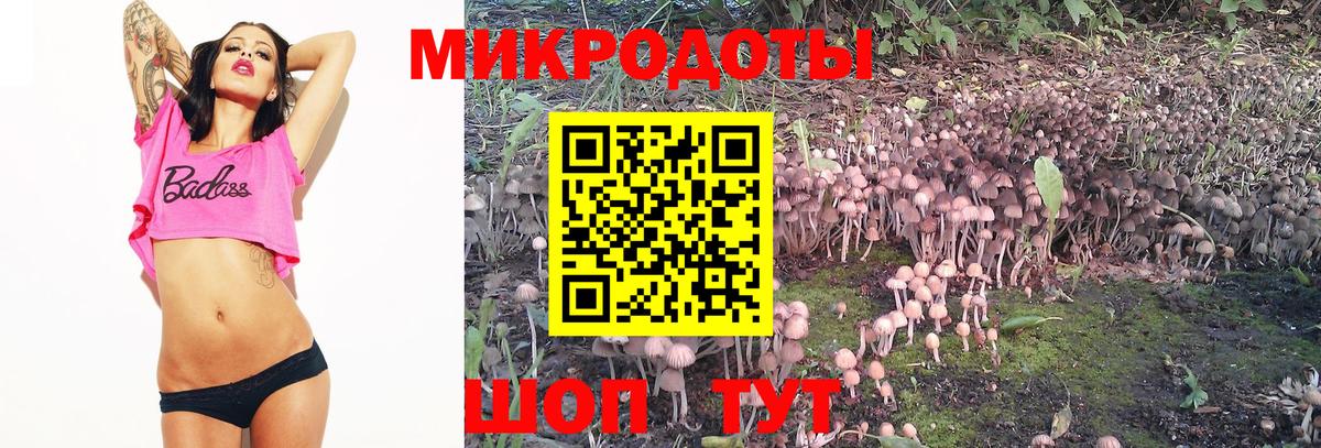 Хабаровск  Псилоцибиновые грибы MAGIC MUSHROOMS  Вход с VPN 